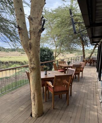 dining on deck, ol pejeta bush camp, kenya - Yellow Zebra Safaris