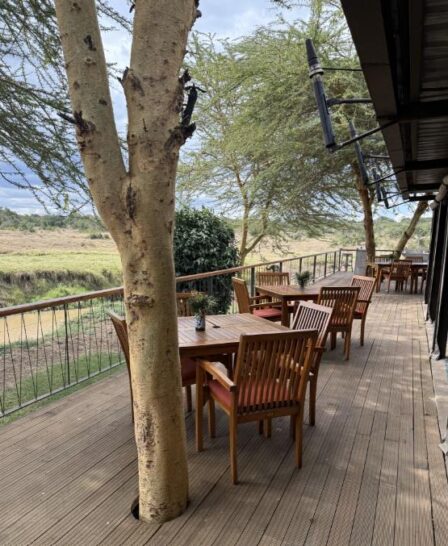 dining on deck, ol pejeta bush camp, kenya - Yellow Zebra Safaris