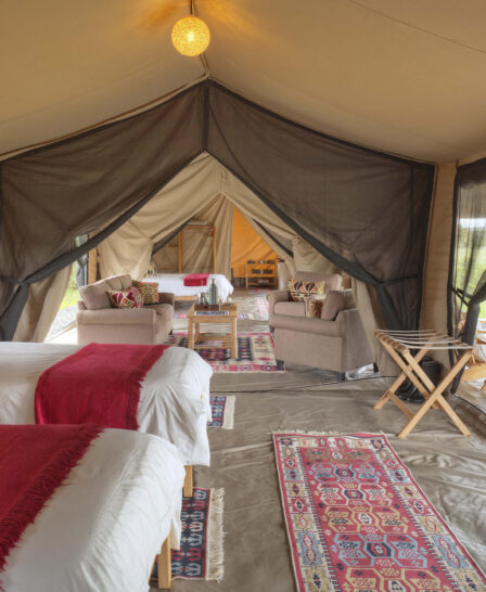 double beds in family tent, ol pejeta bush camp, kenya - Yellow Zebra Safaris
