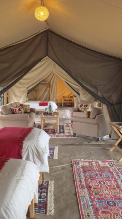 double beds in family tent, ol pejeta bush camp, kenya - Yellow Zebra Safaris