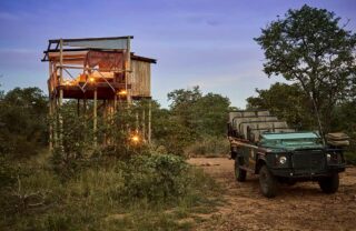 giraffes nest treehouse, timbavati private game reserve, south africa