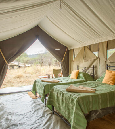 twin bed, serengeti kati kati, tanzania - Yellow Zebra Safaris