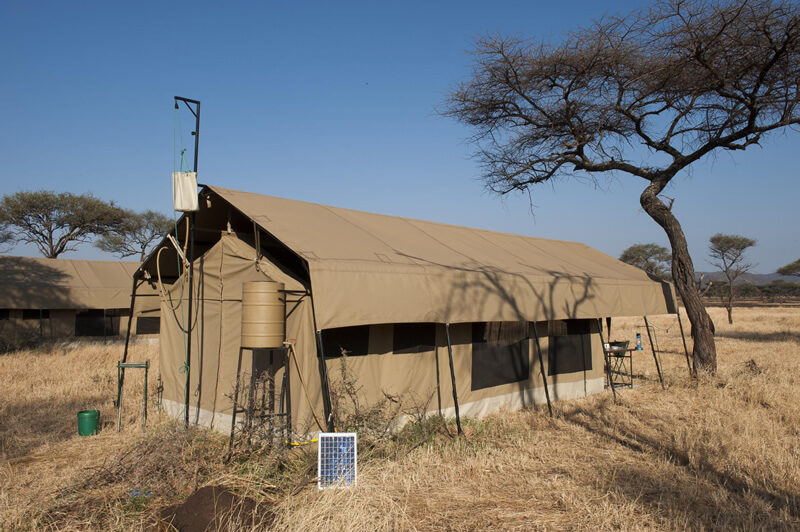 tent, serengeti kati kati, tanzania - Yellow Zebra Safaris