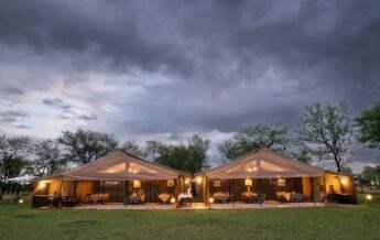 exterior, serengeti kati kati, tanzania - Yellow Zebra Safaris