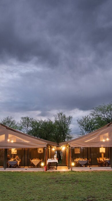 exterior, serengeti kati kati, tanzania - Yellow Zebra Safaris