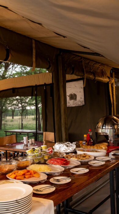breakfast, serengeti kati kati, tanzania - Yellow Zebra Safaris