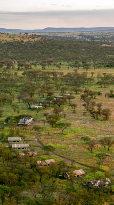 aerial, serengeti kati kati, tanzania - Yellow Zebra Safaris