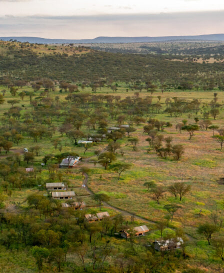 aerial, serengeti kati kati, tanzania - Yellow Zebra Safaris