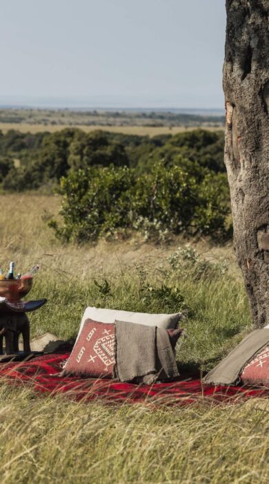 bush breakfast, little elephant camp, mara north, kenya - Yellow Zebra Safaris