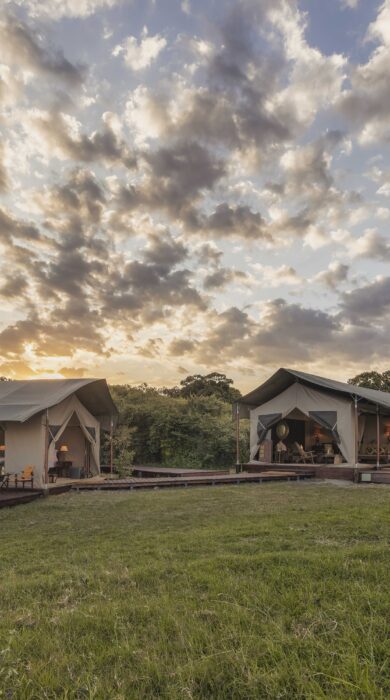 family tent, little elephant camp, mara north, kenya - Yellow Zebra Safaris