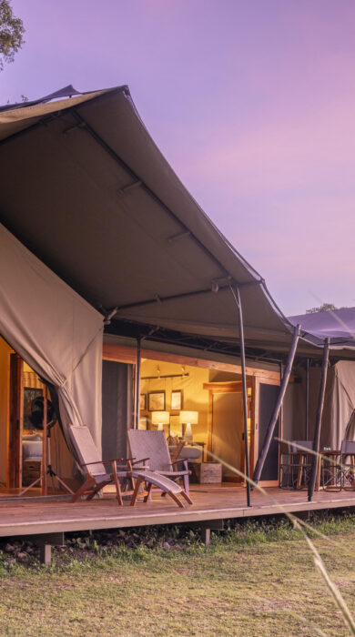 family tent, governors camp, kenya - Yellow Zebra Safaris