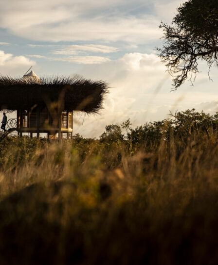 birds nest, segera, kenya - Yellow Zebra Safaris