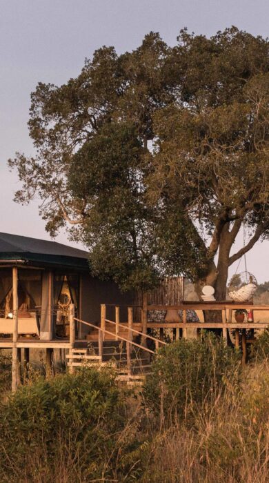decking, serian kimya kimya, kenya - Yellow Zebra Safaris