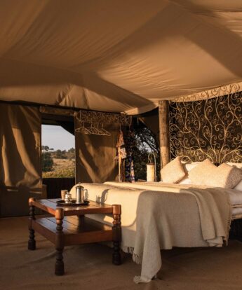 double bedroom, serian kimya kimya, kenya - Yellow Zebra Safaris
