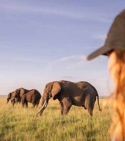 Guests game drive elephant, governors, il moran, maaisa mara, kenya, Yellow Zebra Safaris