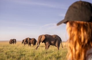 Guests game drive elephant, governors, il moran, maaisa mara, kenya, Yellow Zebra Safaris