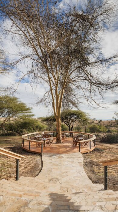 deck area, lewa safari camp, laikipia, kenya - Yellow Zebra Safaris