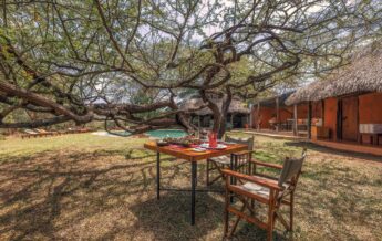 dining, lewa safari camp, laikipia, kenya - Yellow Zebra Safaris