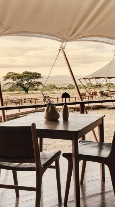 decking, sanctuary ngorongoro crater camp, tanzania - Yellow Zebra Safaris