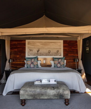 family tent, chitabe lediba, botswana - Yellow Zebra Safaris