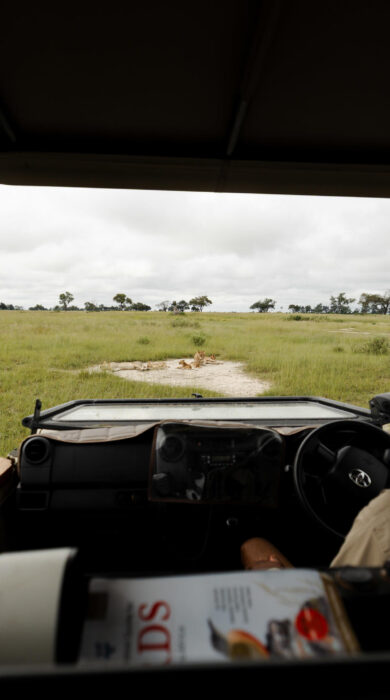 game drive, kanana nyana, botswana - Yellow Zebra Safaris