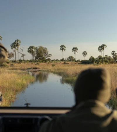 game drive, singita elela, botswana - Yellow Zebra Safaris