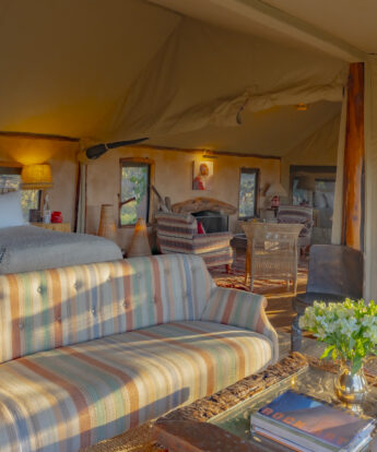 family tent lounge, enasoit, kenya - Yellow Zebra Safaris