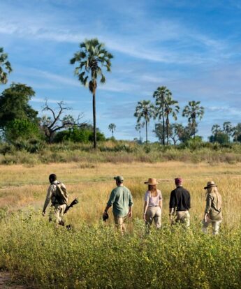 walking safaris, okavango delta, botswana - Yellow Zebra Safaris