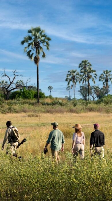 walking safaris, okavango delta, botswana - Yellow Zebra Safaris
