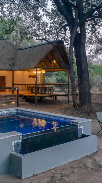 pool, olimba camp, south luangwa, zambia - Yellow Zebra Safaris