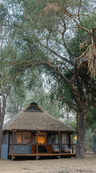room view, olimba camp, south luangwa, zambia - Yellow Zebra Safaris