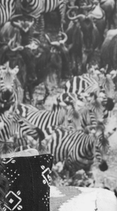 ellie ray, concierge specialist - Yellow Zebra Safaris