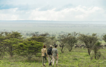 walking safaris, mila tented camp, tanzania - Yellow Zebra Safaris