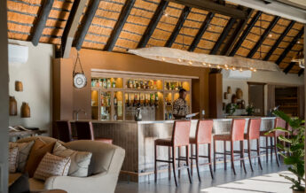 bar, inyanti game lodge, south africa - Yellow Zebra Safaris