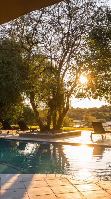 pool, inyanti game lodge, south africa - Yellow Zebra Safaris