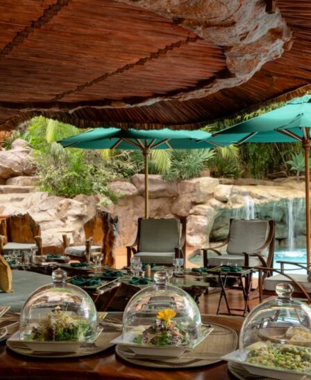 dining, ol jogi, kenya - Yellow Zebra Safaris