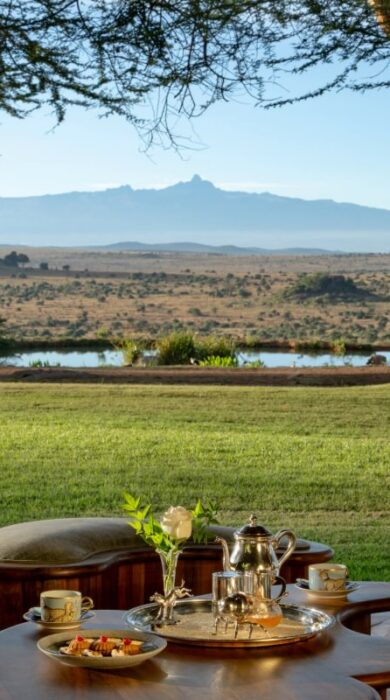 lawn view of ol jogi, kenya - Yellow Zebra Safaris