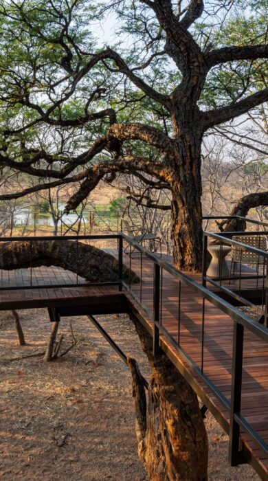 decking at tum tum treehouse, hwange, zimbabwe - Yellow Zebra Safaris