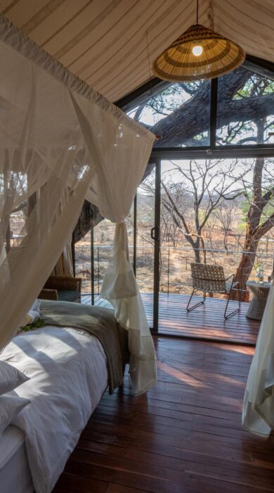room view at tum tum treehouse, hwange, zimbabwe - Yellow Zebra Safaris