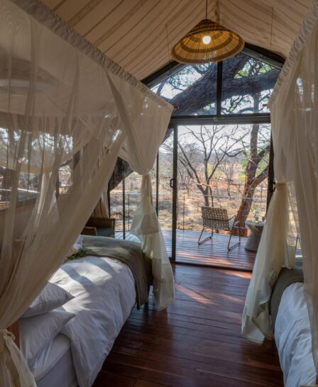 room view at tum tum treehouse, hwange, zimbabwe - Yellow Zebra Safaris