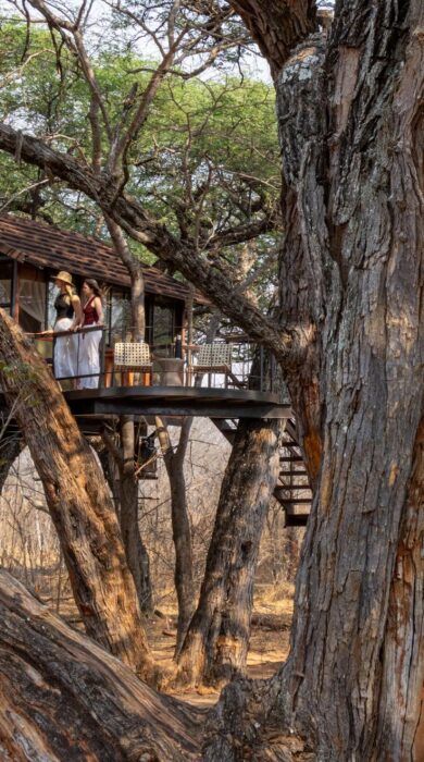 exterior of tum tum treehouse, hwange, zimbabwe - Yellow Zebra Safaris