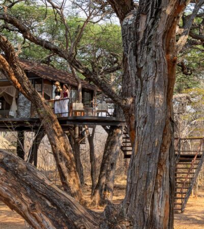 exterior of tum tum treehouse, hwange, zimbabwe - Yellow Zebra Safaris