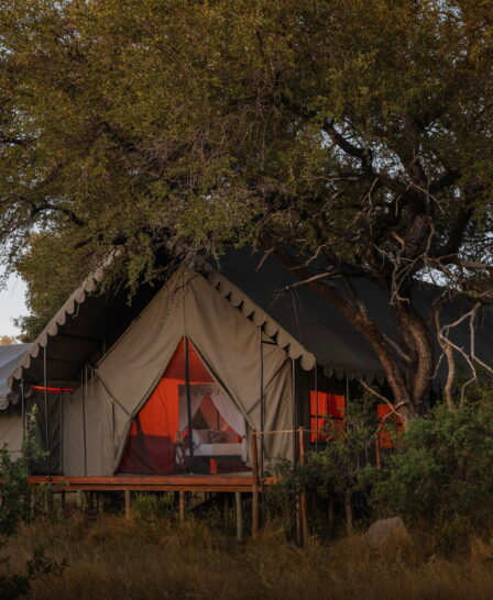family tent exterior, mbamba, botswana - Yellow Zebra Safaris