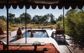 pool view at mbamba, botswana - Yellow Zebra Safaris