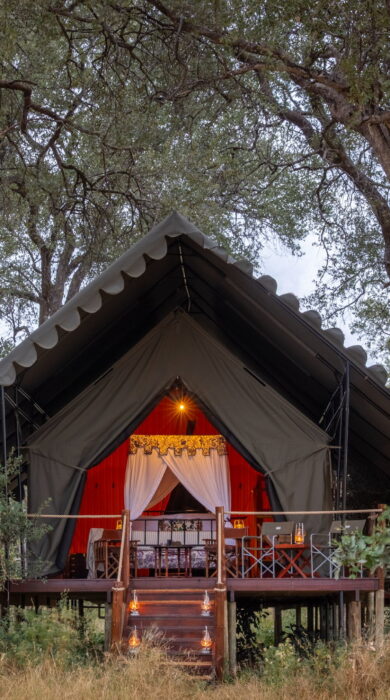 tent exterior at mbamba, botswana - Yellow Zebra Safaris