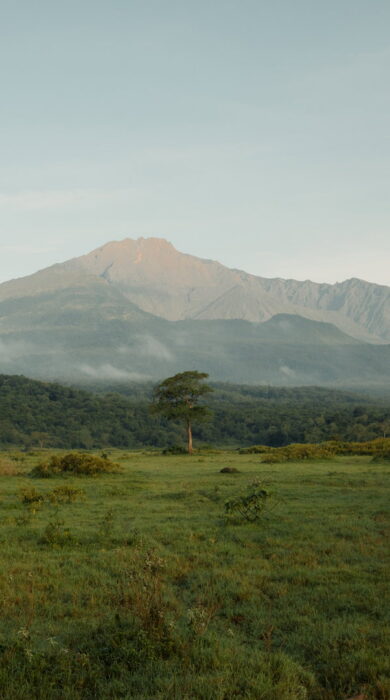 landscape at koroi forest camp, tanzania - Yellow Zebra Safaris