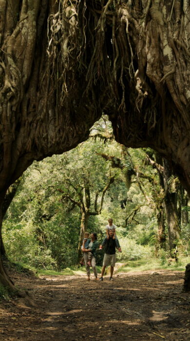 walking at koroi forest camp, tanzania - Yellow Zebra Safaris