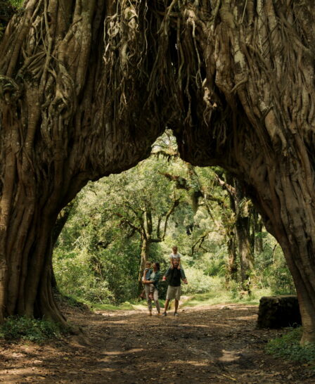 walking at koroi forest camp, tanzania - Yellow Zebra Safaris