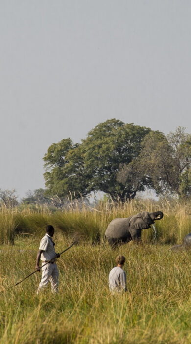 mokoro at expedition camp, okavango delta, botswana - Yellow Zebra Safaris