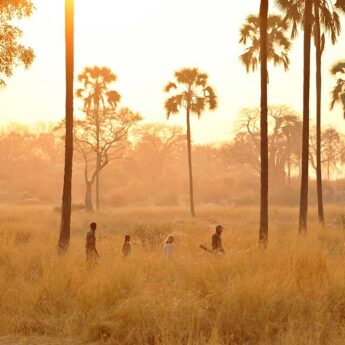 Walking safari, Ikuka Safari Camp, Ruaha, Tanzania